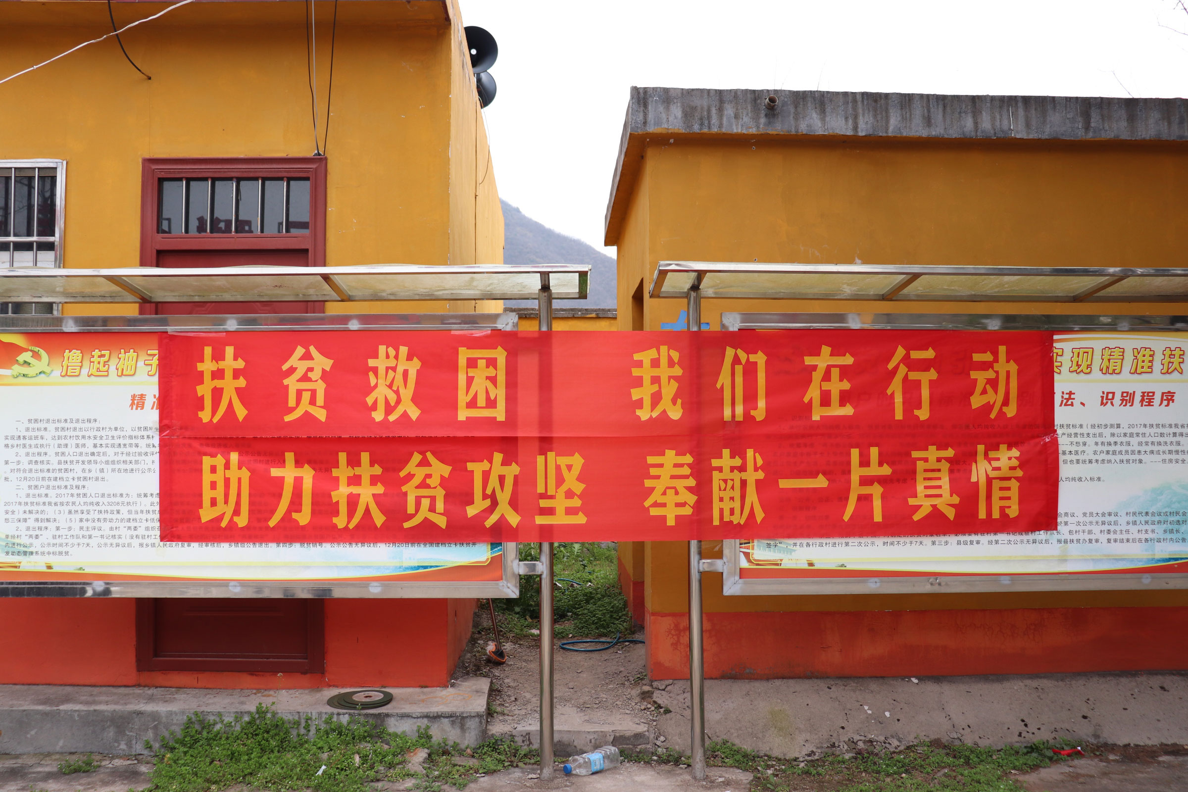 IMG_6829.jpg IMG_6829.jpg