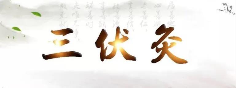 艾灸冬病夏治，春夏養陽(yáng)，三伏灸果真如此神奇？