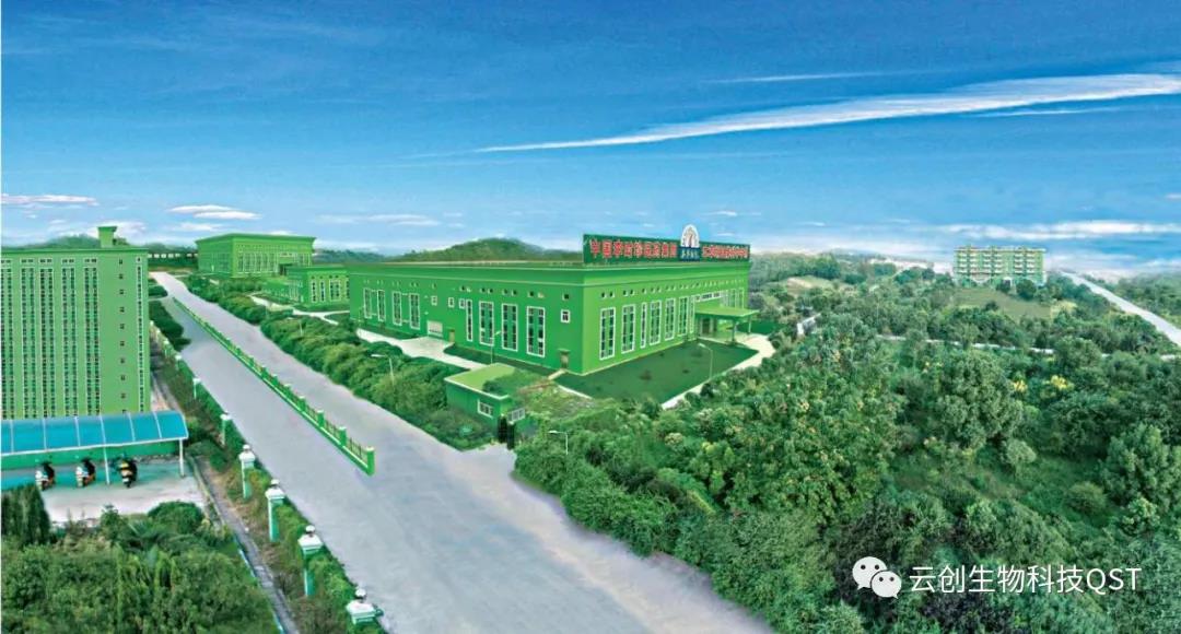 專(zhuān)業(yè)專(zhuān)注，匠心可見(jiàn)——云創(chuàng  )蘄善堂考察團前往李時(shí)珍醫藥集團考察