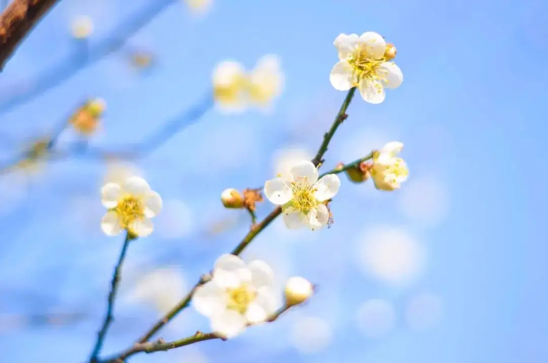 “女人的腳、男人的背”不能受寒，易落下病根!