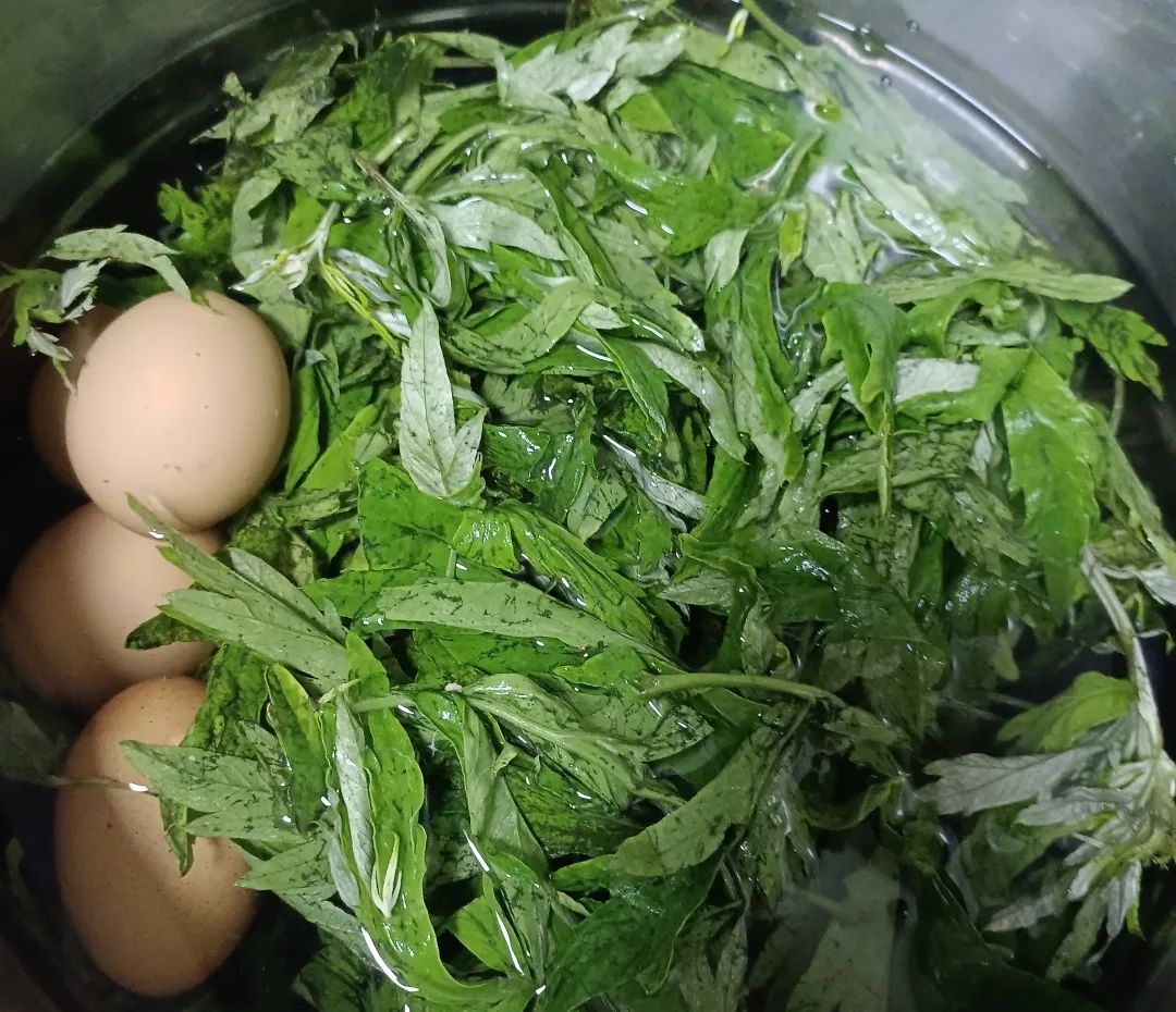 一天一個(gè)艾葉煮雞蛋，這三種好處，很少有人知道！