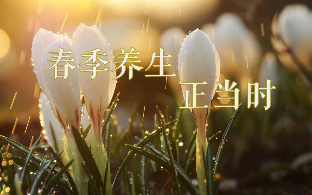 春天艾灸，陽(yáng)上增陽(yáng)，這些技巧別錯過(guò)！