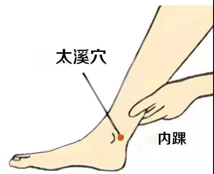 護腎養腎？這六大穴位就夠了！